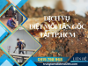 Dịch Vụ Diệt Mối Tại TP. Hồ Chí Minh Hiệu Quả, Giá Rẻ