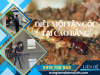 Dịch Vụ Diệt Mối Tại Cao Bằng Hiệu Quả, Giá Rẻ