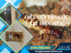 Dịch Vụ Diệt Mối Tại Điện Biên Hiệu Quả, Giá Rẻ