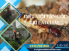 Dịch Vụ Diệt Mối Tại Lai Châu Hiệu Quả, Giá Rẻ