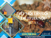 Dịch Vụ Diệt Mối Tại TP. Hà Nội Hiệu Quả, Giá Rẻ