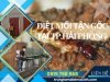 Dịch Vụ Diệt Mối Tại TP. Hải Phòng Hiệu Quả, Giá Rẻ