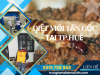 Dịch Vụ Diệt Mối Tại TP. Huế Hiệu Quả, Giá Rẻ
