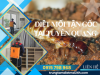 Dịch Vụ Diệt Mối Tại Tuyên Quang Hiệu Quả, Giá Rẻ