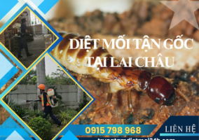 Dịch Vụ Diệt Mối Tại Lai Châu Hiệu Quả, Giá Rẻ