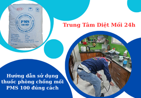 Hướng dẫn sử dụng thuốc phòng chống mối PMS 100 đúng cách