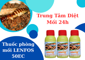loại thuốc diệt và phòng chống mối Chất Lượng