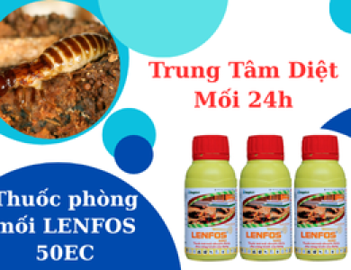loại thuốc diệt và phòng chống mối Chất Lượng