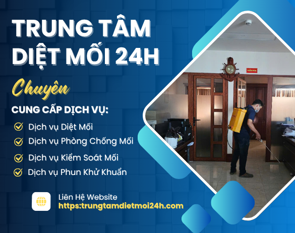Trung Tâm Diệt Mối 24h